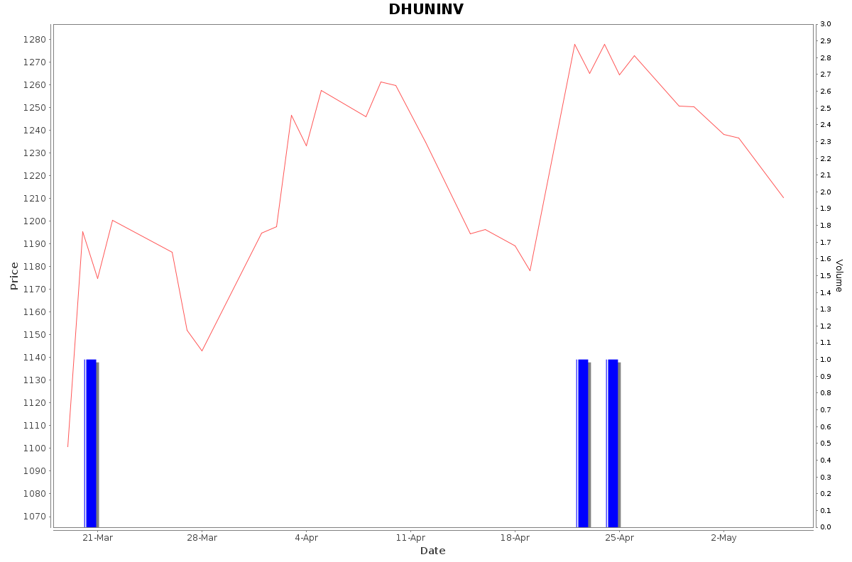 DHUNINV Daily Price Chart NSE Today